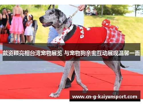 戴资颖亮相台湾宠物展览 与宠物狗亲密互动展现温馨一面 戴资颖亮相台湾宠物展览 与宠物狗亲密互动展现温馨一面