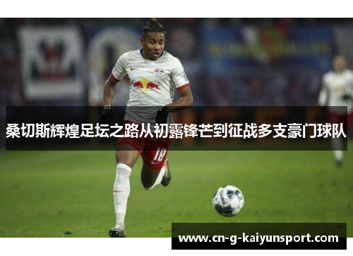 桑切斯辉煌足坛之路从初露锋芒到征战多支豪门球队