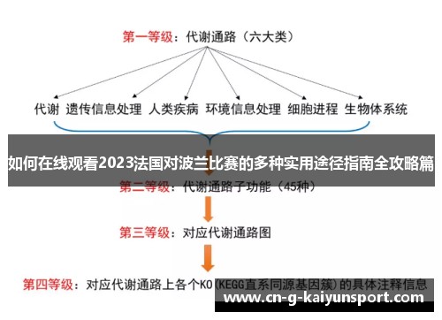 如何在线观看2023法国对波兰比赛的多种实用途径指南全攻略篇 如何在线观看2023法国对波兰比赛的多种实用途径指南全攻略篇
