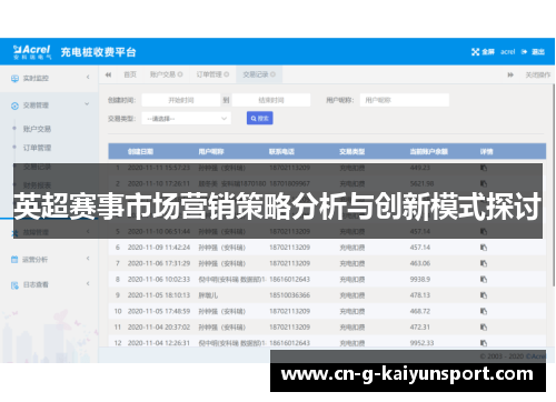 英超赛事市场营销策略分析与创新模式探讨 英超赛事市场营销策略分析与创新模式探讨