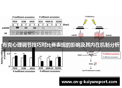 布克心理调节技巧对比赛表现的影响及其内在机制分析 布克心理调节技巧对比赛表现的影响及其内在机制分析