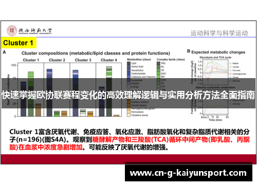 快速掌握欧协联赛程变化的高效理解逻辑与实用分析方法全面指南